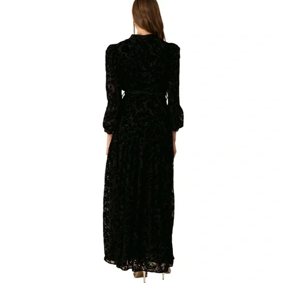 HALE BOB Heloise Solid Velvet Burnout Maxi Dress Womens Size Large NEW NWT - Picture 3 of 15